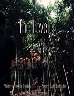 The Leveler - постер