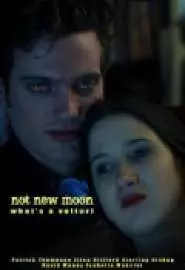 Not New Moon. What's a Volturi? - постер