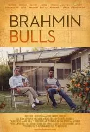 Brahmin Bulls - постер