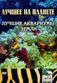 Animal Planet: Лучшие аквариумы земли - постер