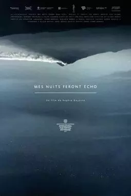 Mes nuits feront écho - постер