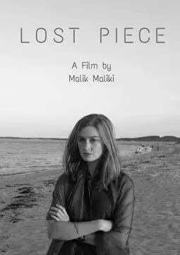 Lost Piece - постер