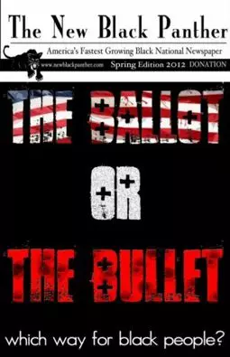The Ballot or the Bullet - постер