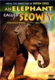 An Elephant Called Slowly - постер