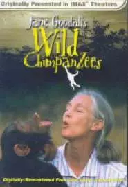 Jane Goodall's Wild Chimpanzees - постер