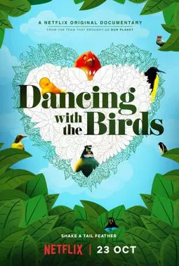 Танцы с птицами - постер