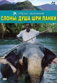 Слоны: Душа Шри-Ланки - постер