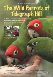 Дикие попугаи с Телеграф Хилл - постер