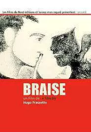 Braise - постер