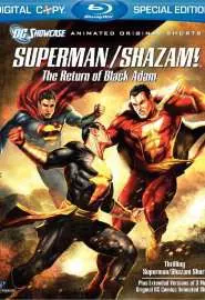 Витрина DC: Супермен/Шазам! - Возвращение черного Адама - постер