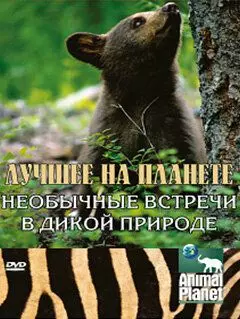 Animal Planet: Лучшее на планете - постер