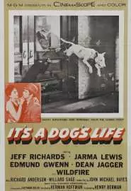 It's a Dog's Life - постер
