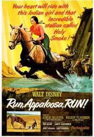 Run, Appaloosa, Run - постер