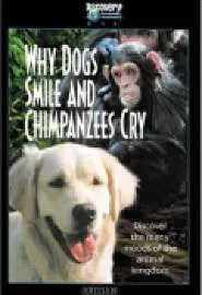 Почему собаки улыбаются и шимпанзе плачут - постер