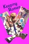 Keeping Romeo - постер