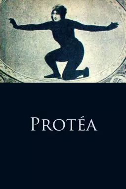 Protéa - постер