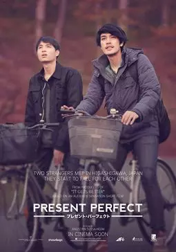 Present Perfect - постер