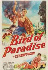 Bird of Paradise - постер