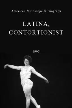 Latina, Contortionist - постер