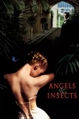 Ангелы и насекомые - постер