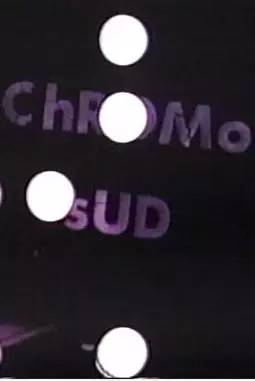 Chromo sud - постер