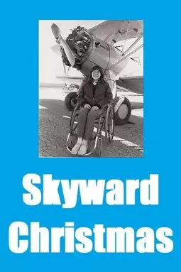 Skyward Christmas - постер