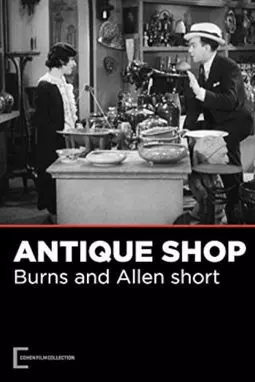 The Antique Shop - постер