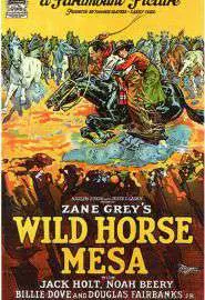 Wild Horse Mesa - постер