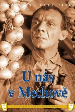 U nás v Mechové - постер