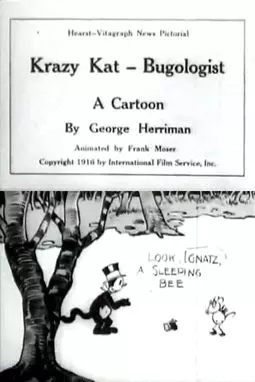 Krazy Kat - Bugologist - постер