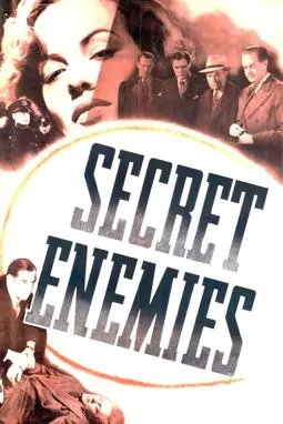 Secret Enemies - постер