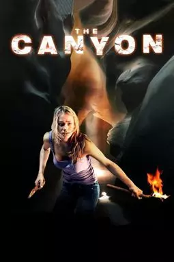 Каньон - постер