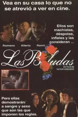 Las boludas - постер