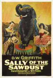Салли из опилок - постер