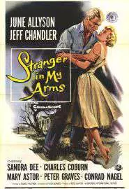 A Stranger in My Arms - постер