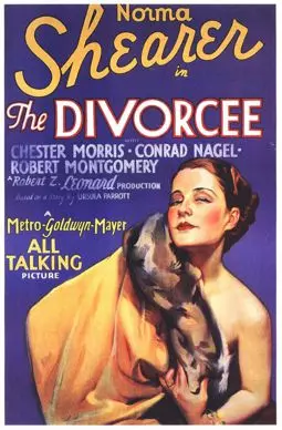 Развод - постер