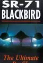 SR-71 Blackbird: The Secret Vigil - постер
