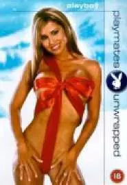 Playboy: Playmates Unwrapped - постер