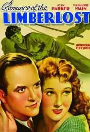Romance of the Limberlost - постер