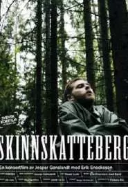 Скиннскаттеберг - постер
