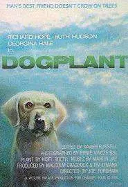 Dogplant - постер