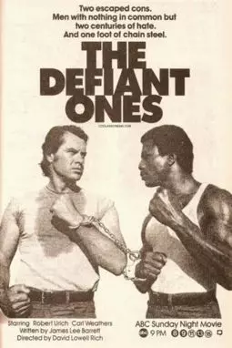 The Defiant Ones - постер