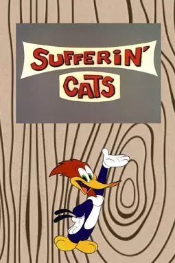 Sufferin' Cats - постер