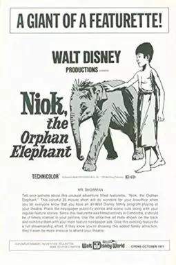 Niok l'éléphant - постер