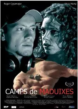 Camps de maduixes - постер