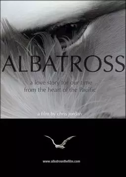 Albatross - постер