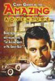 The Amazing Adventure - постер