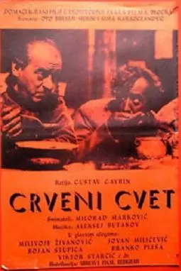 Crveni cvet - постер