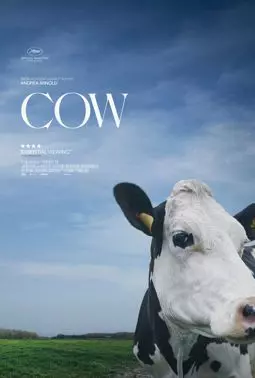 Корова - постер