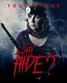 Why Hide? - постер